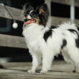 u3296-IMG-20250901-WA0014