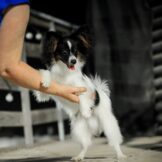 u3296-IMG-20250901-WA0018