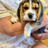 u4768-WhatsApp-Image-2025-10-17-at-14.10.14-1