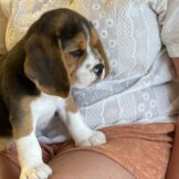 u4768-WhatsApp-Image-2025-10-17-at-14.10.14-2