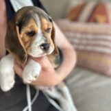 u4768-WhatsApp-Image-2025-10-17-at-14.12.59