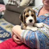 u4770-3497c624-e6fc-42f2-94f2-49bff7e6a86f