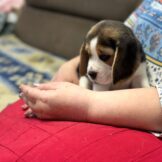 u4770-3db2648e-c3ce-4b2f-9887-3d7d6b0a28b0