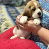 u4770-f030fc31-2fbf-40b5-997b-d863957071c9