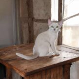 u716-529883712_24818820221057028_7887083391419788251_n-1