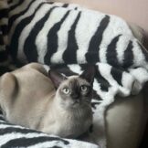 u716-unnamed-file-1.jpg-1