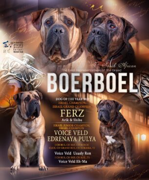 גורי בורבול מזוג אלופי ישראל