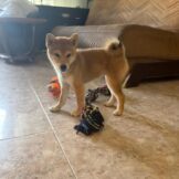 u2895-IMG-20251031-WA0005