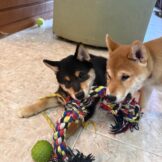 u2895-IMG-20251031-WA0008