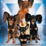 u328-IMG-20231031-WA0014