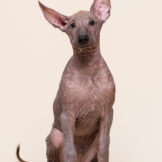 u4608-DSC_1689-редакт