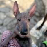 u4608-WhatsApp-2025-10-22-в-12.50.34_50e66c2c