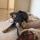 u4935-28C9396B-B6D4-4147-9038-F528972F50D3