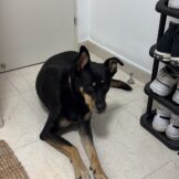 u4935-53334E3A-4FF7-4F04-AA76-AEA0D2B8DF0E