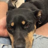 u4935-567C5E05-6B07-4D17-A4C6-9AC38952B373-1