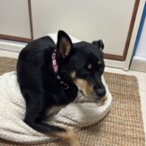 u4935-A5DC5DFC-901C-4E51-8FDC-2E0DA92187E8