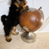 u4936-4b28d062-9b95-4d40-9004-f840dcb2df05