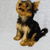 u4936-9c995ddb-fb0b-4be4-bf0c-07824e0f21e7