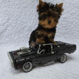 u4936-de62c5e5-2a03-46c4-b60e-17a3a55ebbfd