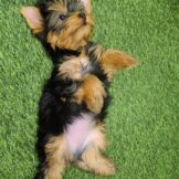 u4936-f839da60-81f6-49ae-8b7e-762cfb12ea5d