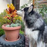 u4951-IMG-20251119-WA0012