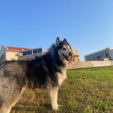 u4951-IMG-20251119-WA0013