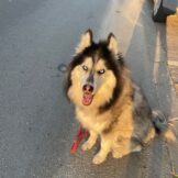 u4951-IMG-20251119-WA0014