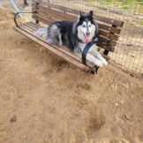 u4951-IMG-20251119-WA0015