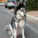 u4951-IMG-20251119-WA0016