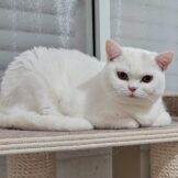 u730-WhatsApp-Image-2025-11-14-at-10.49.02