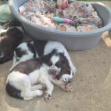 u950-05bcb245-6569-4ae7-a8e9-7d877054ef80