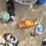 u950-42b6132b-ea07-4263-9a00-1909f16c363d