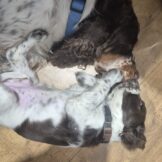 u950-7bae739d-8e8d-4236-864e-946d6b4b493d