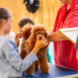 u1168-504080081_10022557247766645_1612417500462794141_n