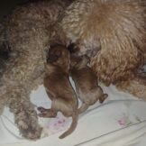 u1168-WhatsApp-Image-2025-11-22-at-22.02.36