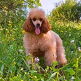 u1168-של-WhatsApp‏-2025-12-03-בשעה-10.42.59_1ed2faaa