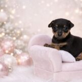 u328-Screenshot_2025-12-21-21-23-32-894_com.miui_.gallery-edit