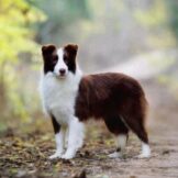 u3590-01fc364f-4633-4719-94b9-617e880a9f7e