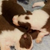 u3590-1741df11-d733-4879-bd41-5faebe831cc8-1