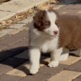 u3590-79124f90-ebd8-46da-b590-829c0763893c