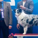 u3590-84fa3972-3298-4258-8c11-17d212db13c6