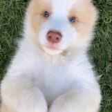 u3590-8f906481-3a97-45e9-947d-2f5cf6b1595c