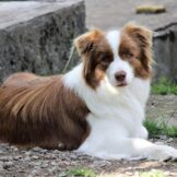 u3590-a435c989-a13e-4f95-b554-69c88f629068