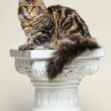 u4917-IMG-20250908-WA0009