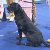 u5187-WhatsApp-Image-2025-12-15-at-13.51.53