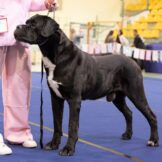 u5187-WhatsApp-Image-2025-12-15-at-13.55.09-1