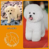 u2377-PhotoCollage_1768820839956