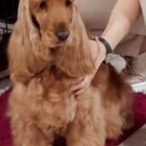 u289-da09a2da-5f57-45ab-a50c-1d16841f94f1