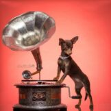 u328-IMG_20231029_141254_242