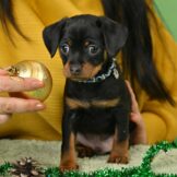 u328-Screenshot_2026-01-01-18-27-34-275_com.google.android.apps_.docs-edit